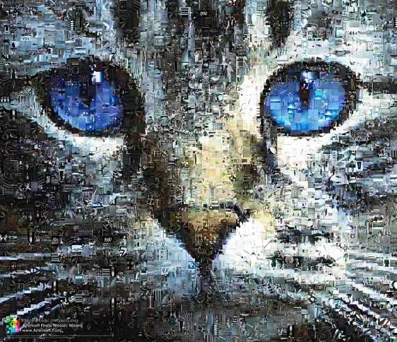 Photo mosaic with Cat