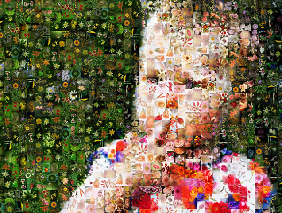 The Baby Photomosaic (Photo collage)